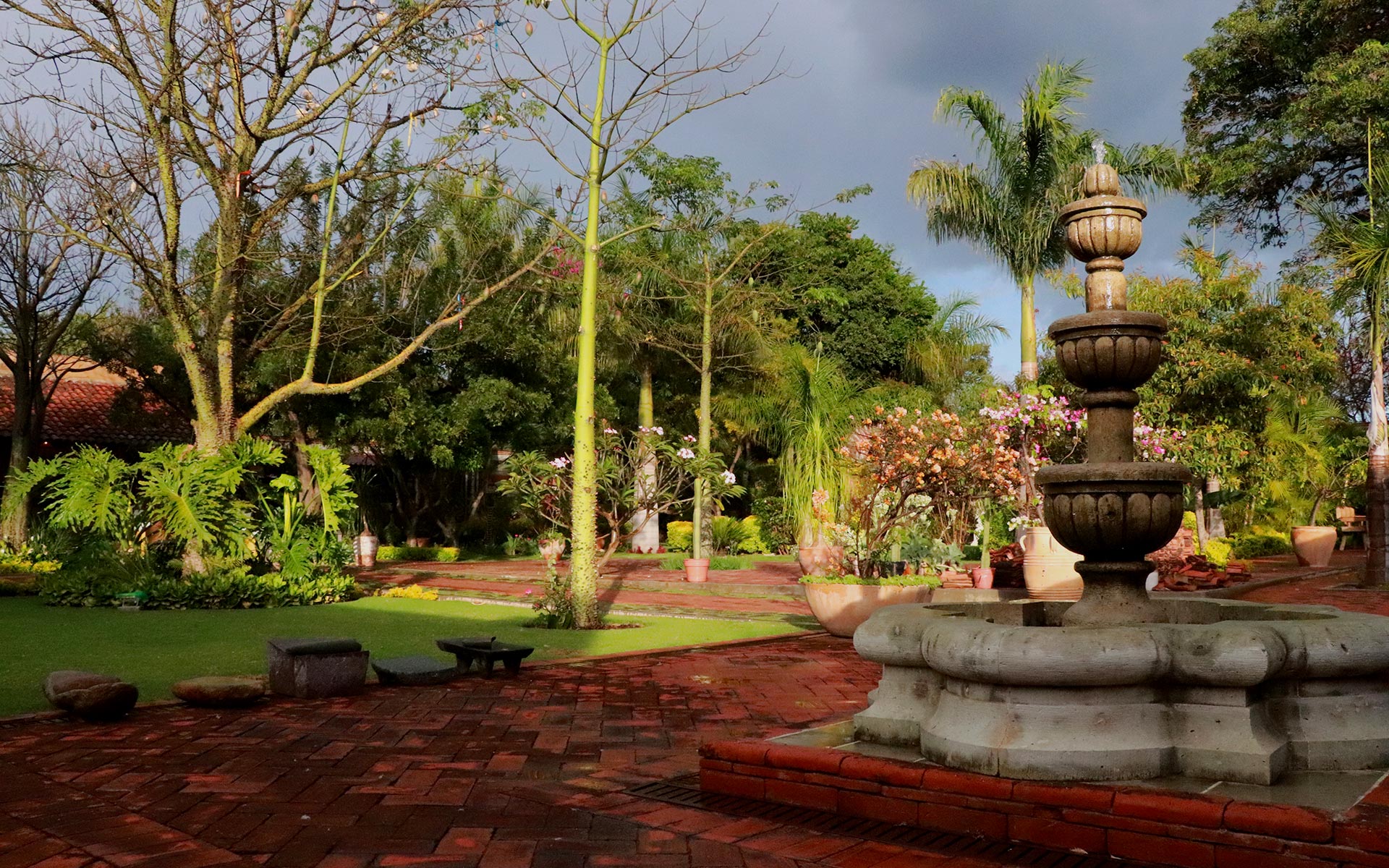 jardín restaurante
